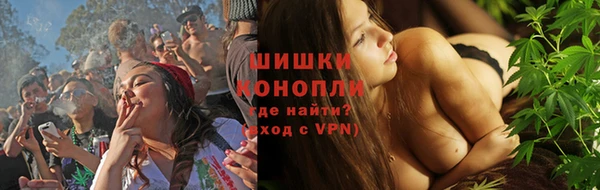 ГАЛЛЮЦИНОГЕННЫЕ ГРИБЫ Братск