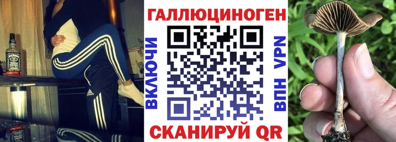 Псилоцибиновые грибы Magic Shrooms  ссылка на мегу вход  Котельниково  цены  